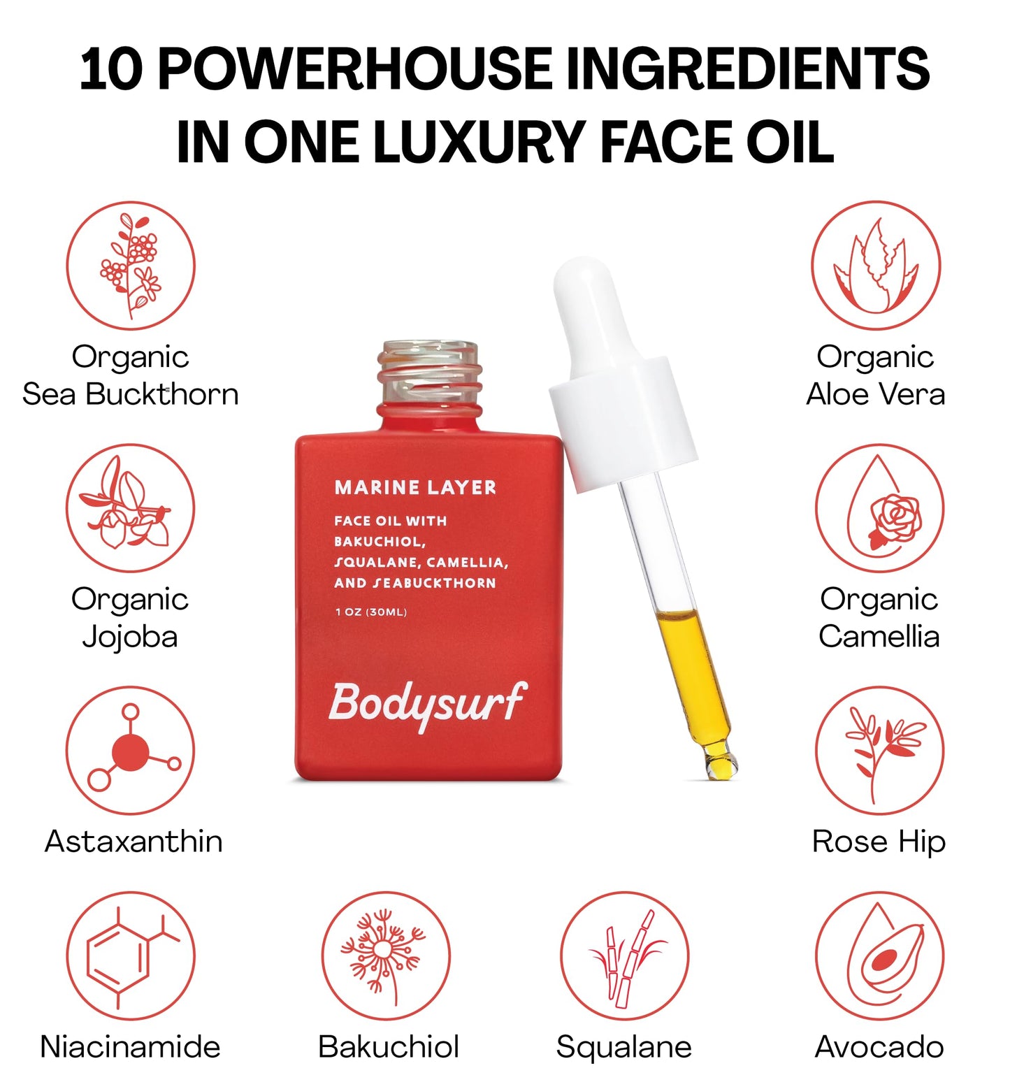 Bakuchiol Face Oil & Serum Alternative - Luxury Anti-Aging Facial Oil with Camellia, Seabuckthorn & Jojoba - Hydrating Organic Skincare Faceoil for Radiance & Wrinkles - Bodysurf Marine Layer (1oz)