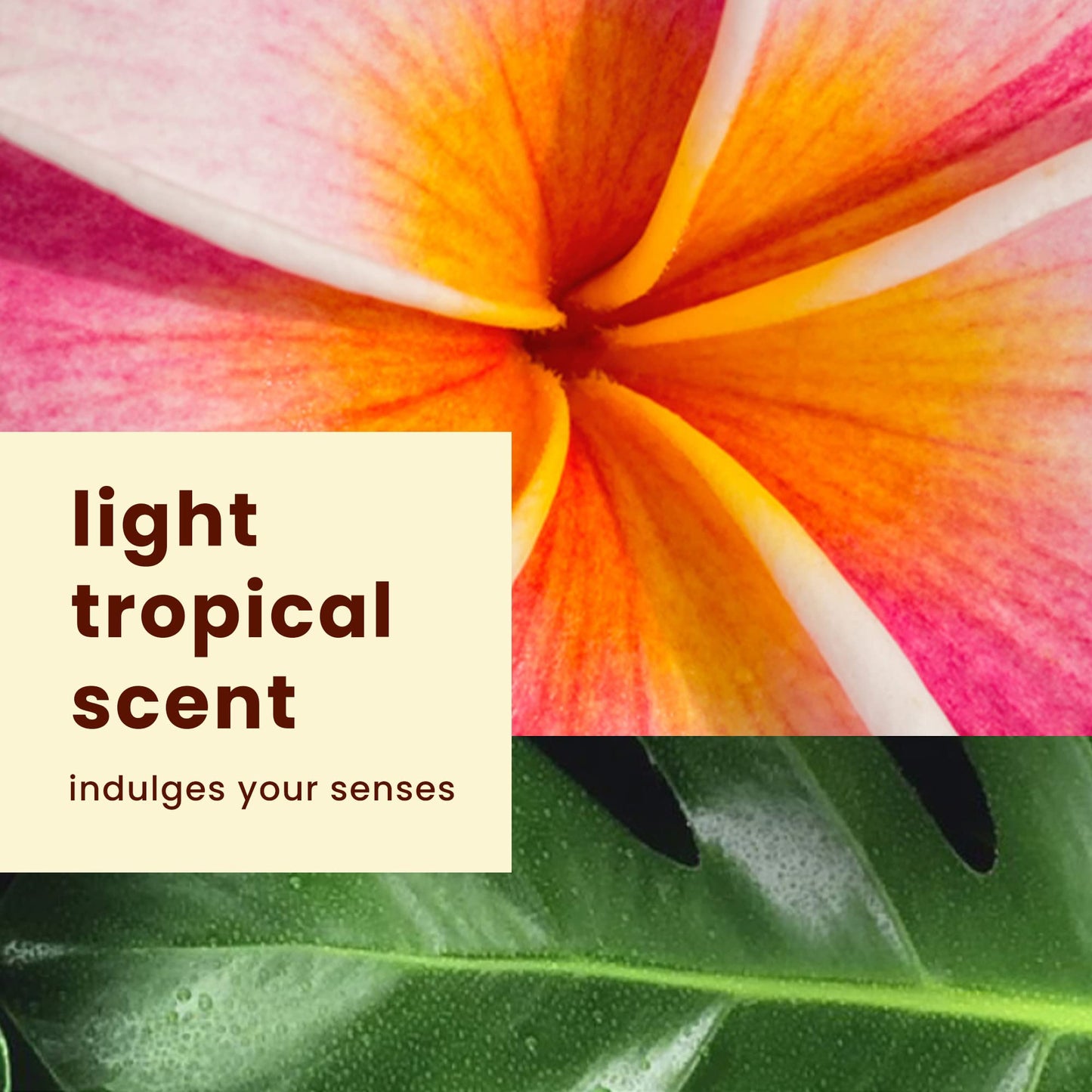 Hawaiian Tropic Antioxidant Sunscreen Spray With Green Tea Extract, SPF 30, 3.4 Oz. (Pack of 3)