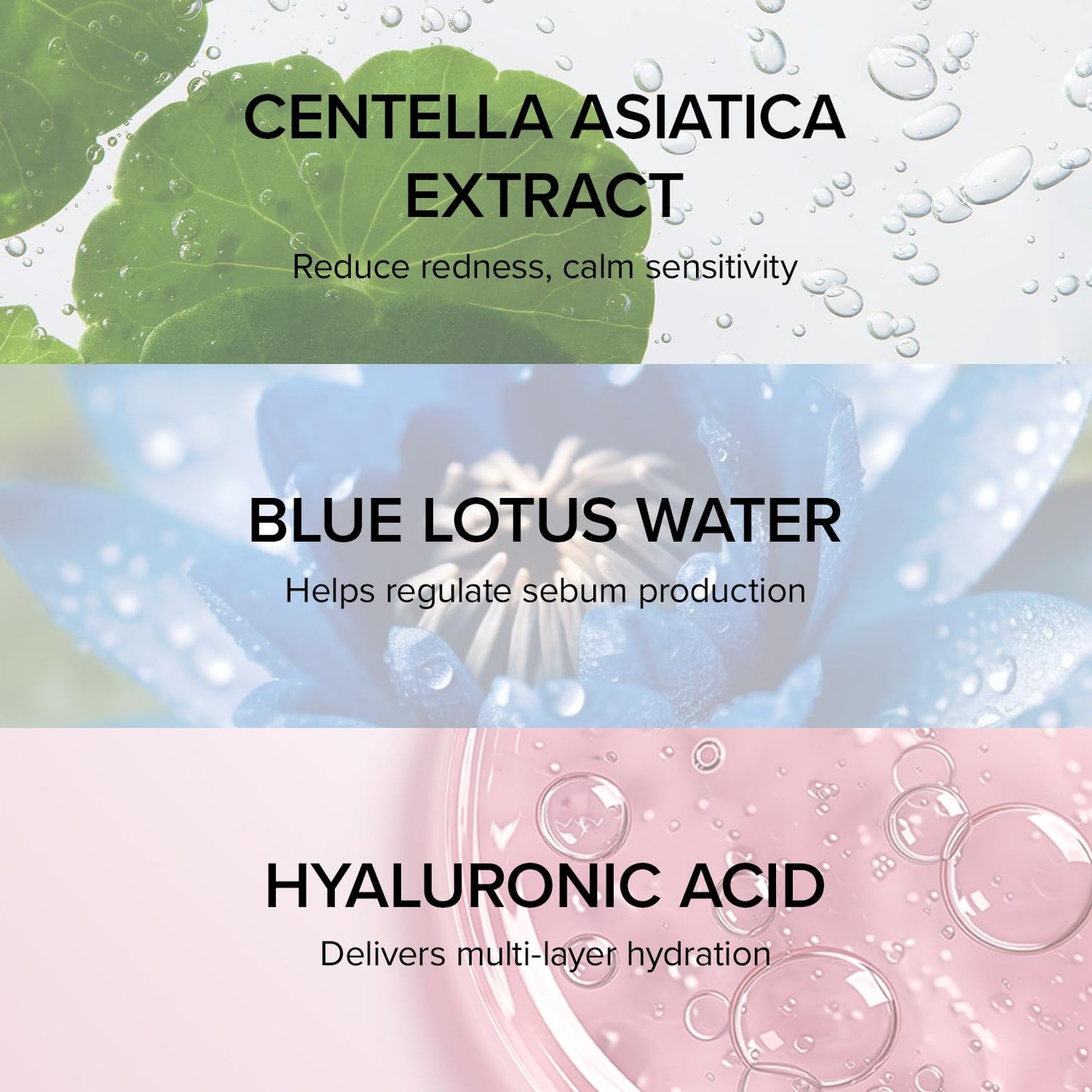 Mary&May Vegan Blackberry Cream Essence | Milky Essence Toner | Deep Hydration | Korean Skincare | Strengthens Skin Barrier | Plumping & Firming | Lightweight Formula (140ml/4.73 fl.oz.)