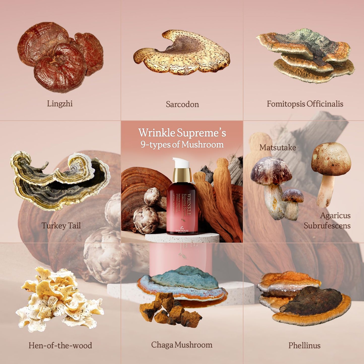 the SKIN HOUSE Wrinkle Supreme Serum 0.67 fl. oz. Trial-Size, Korean Red Ginseng, Mushrooms | Firming, Lifting, Fine Lines | Korean Skin Care, K-beauty, 20ml