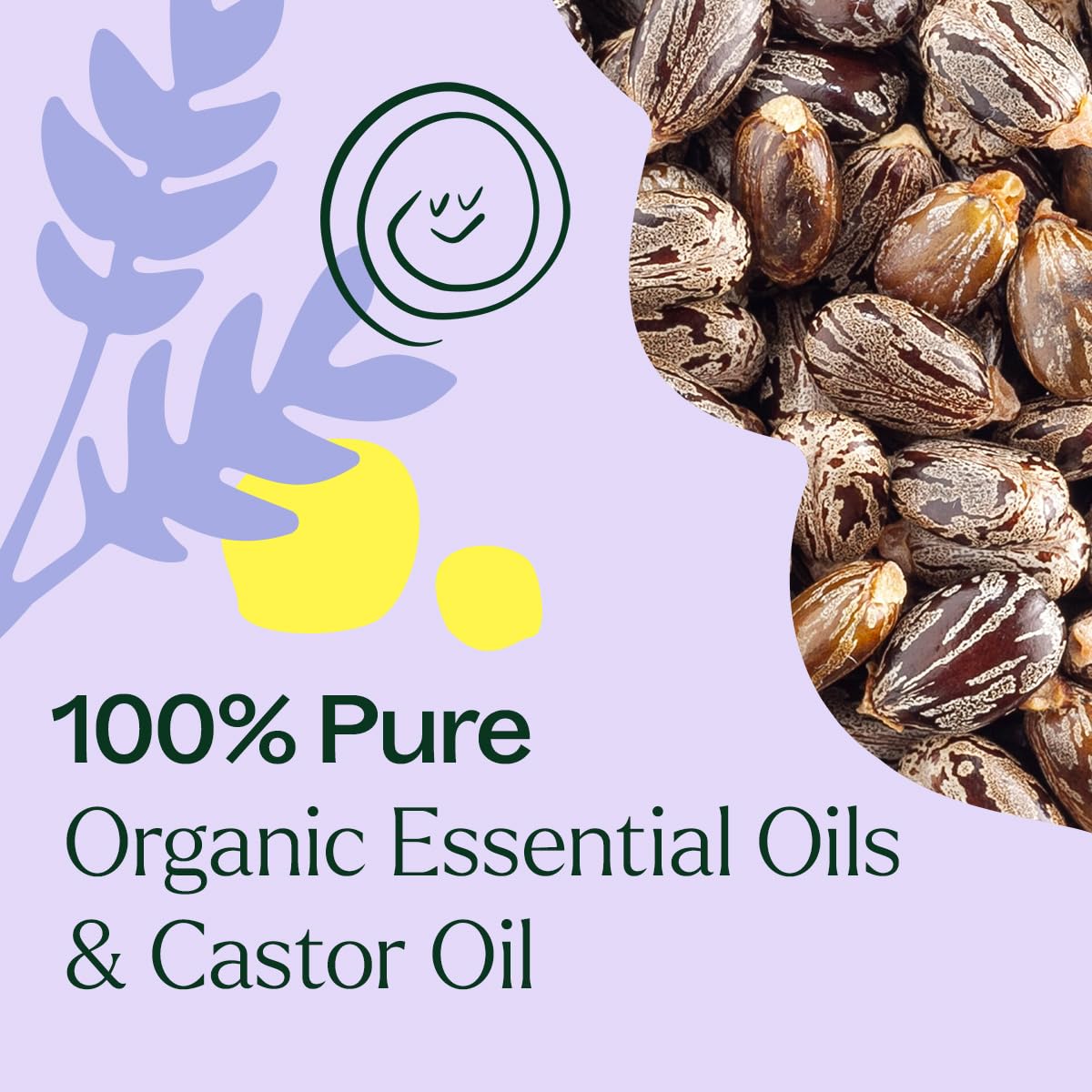 Plant Therapy Organic Lavender & Frankincense Castor Body Oil Roll-On 30 mL (1 oz) Soothes Dryness, and Skin Irritation, Calming Aroma, Relaxation, Pure, Organic Formula, Healing Benefits