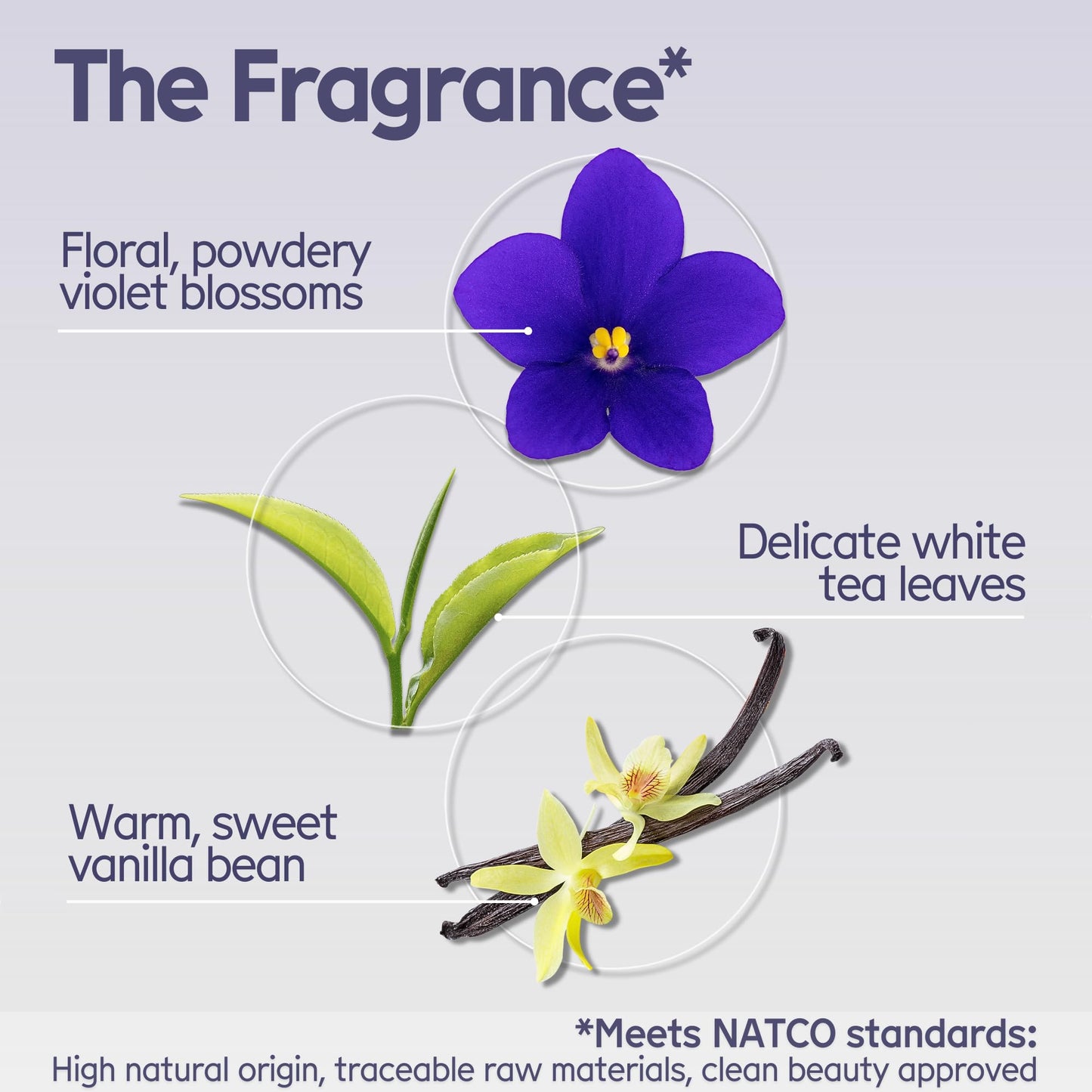 Arista Purple Shampoo Bar, Amla Fruit Powder, Purple Toner & Castor Oil, Moisturizing & Plastic Free Hair Soap, Sulfate Free Solid Shampoo Puck for Grey Hair