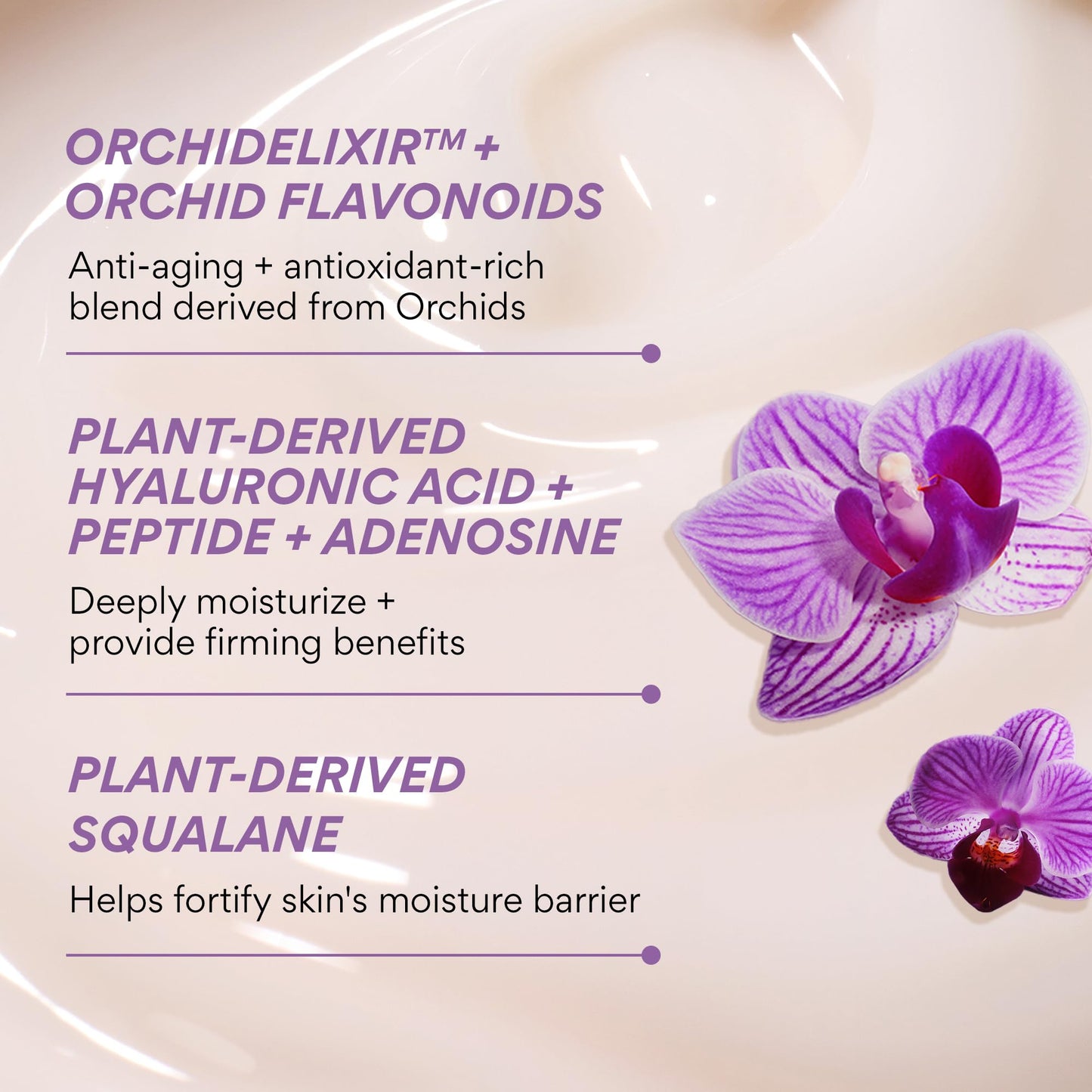 innisfree Orchid Youth-Enriched Cream, Korean Face Moisturizer for Firming, Hydration, and Youthful Skin