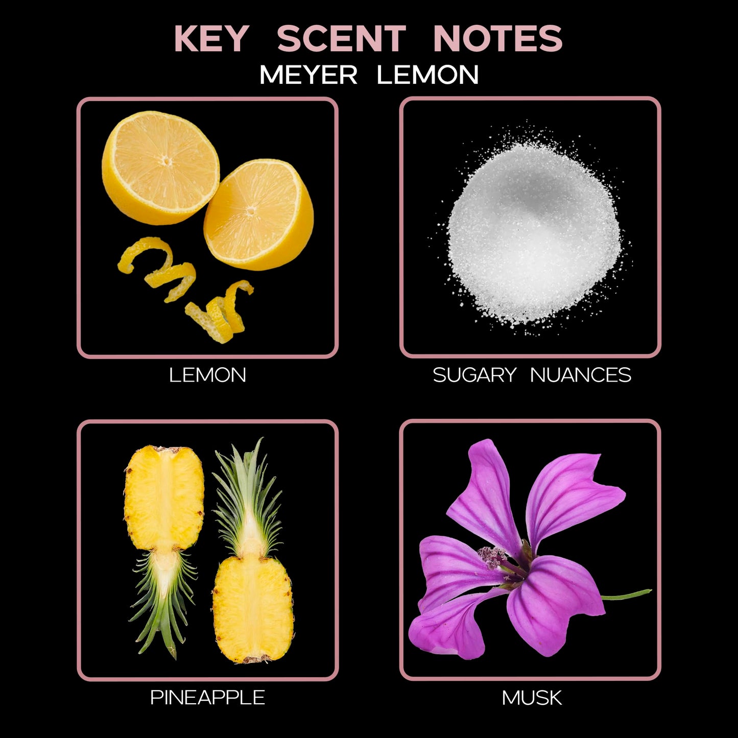 LOVSPA Reed Diffuser Set, Meyer Lemon Scented Oil Diffuser with Sticks, Home Fragrance Accessories for Bathroom Shelf Decor, Aroma Diffusers for Home or Office Desk, USA Made