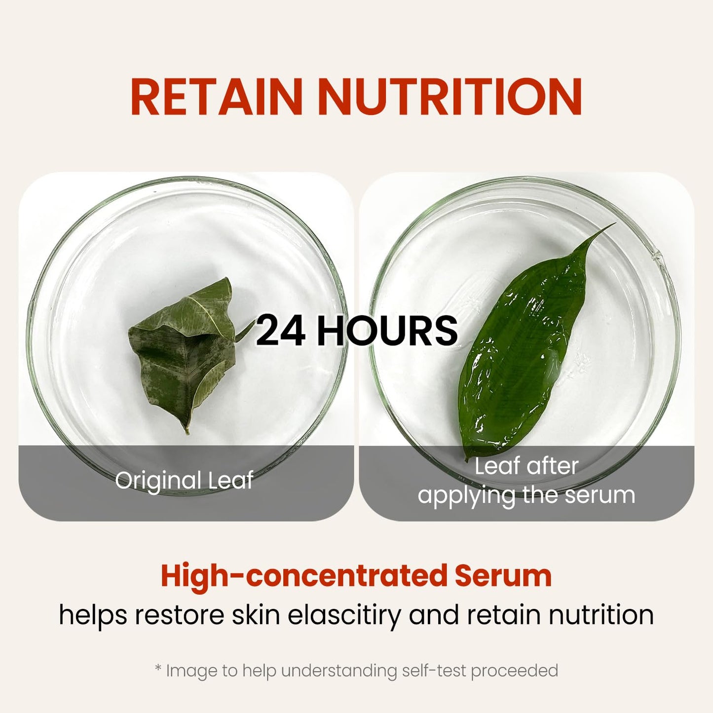 the SKIN HOUSE Wrinkle Supreme Serum 0.67 fl. oz. Trial-Size, Korean Red Ginseng, Mushrooms | Firming, Lifting, Fine Lines | Korean Skin Care, K-beauty, 20ml