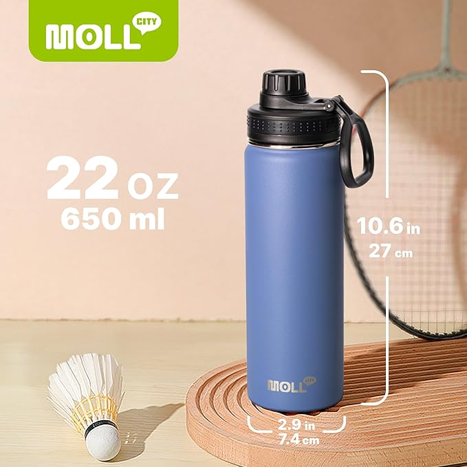 22 oz Water Bottle-Stainless Steel Vacuum Insulated Sports Water Bottle with Leak Proof Spout Lid-Reusable Metal Wide Mouth Water Flask for Travel(Royal Blue)