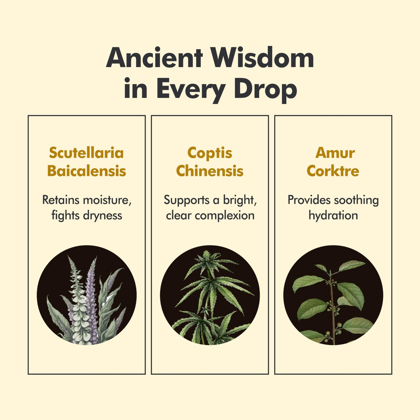 Baegayul Classic Cream Origin - Deep Hydration Face Moisturizer with Propolis & Job’s Tears, Soothing Korean Skincare for Dry and Sensitive Skin, Herbal Cream for Radiant Look (2.71fl oz)