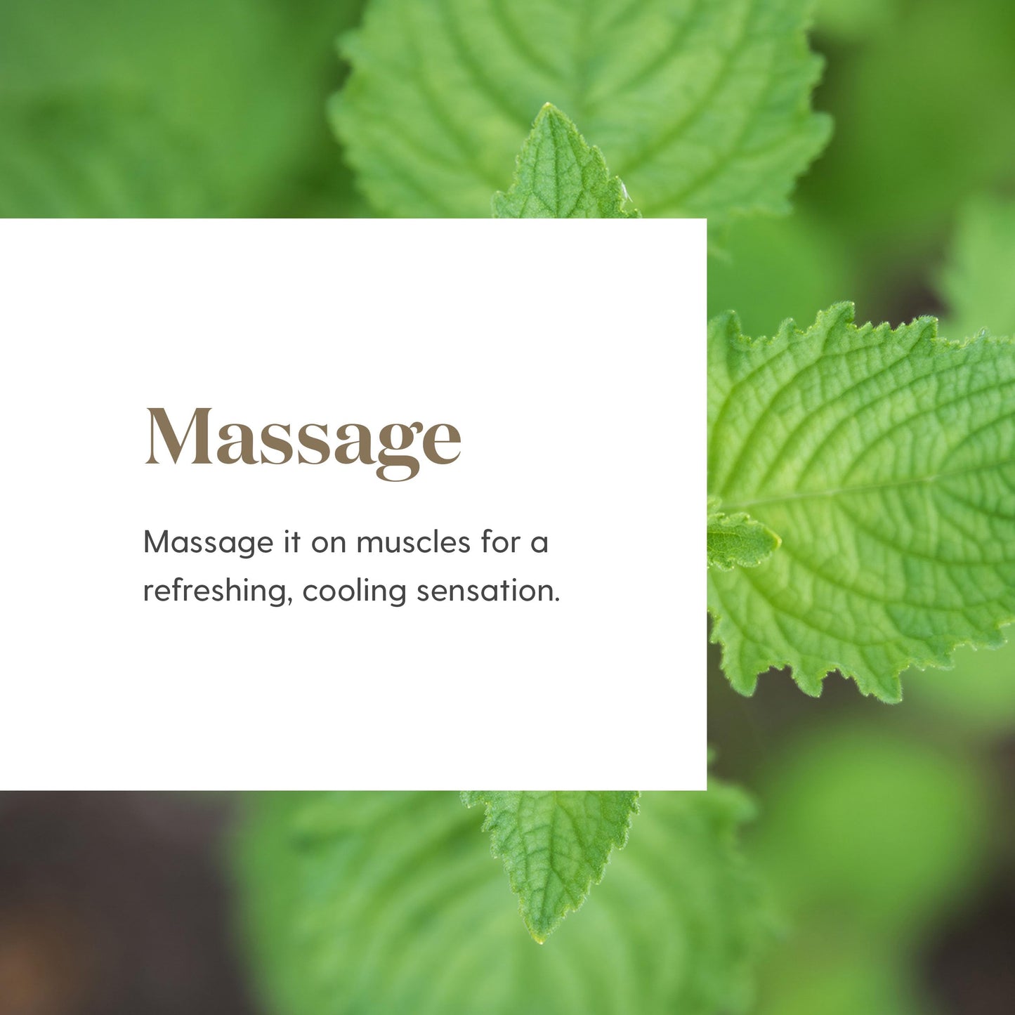 Young Living Deep Relief Roll-On | 10 ml | Cooling Essential Oil Blend for Topical Use | Compact & Travel-Friendly