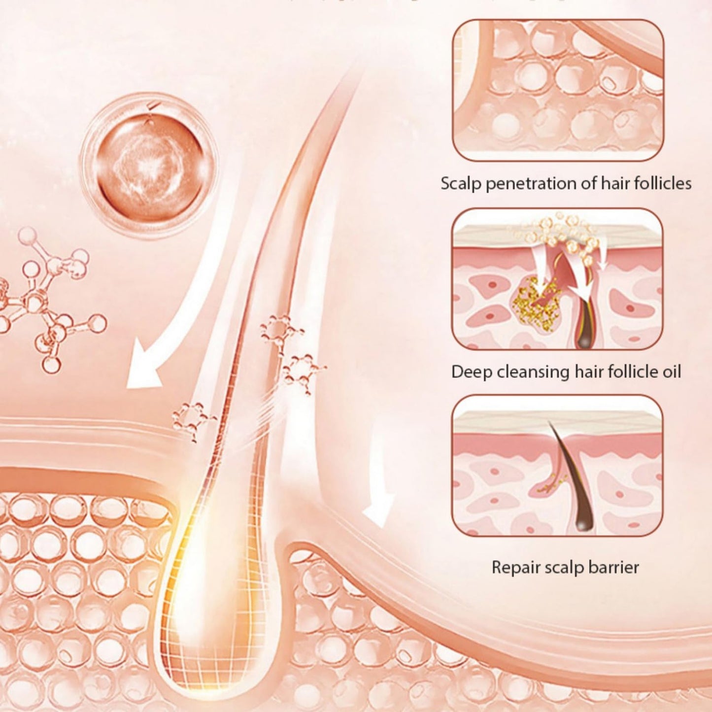 Hotiary Darkening Shampoo Bar & Rice Water Conditioner Bar Set, Rice Water Hair Growth Shampoo Soap Bar for Thinning Hair and Hair Loss, pH Balanced, for Fine & Oily Hair - Easy for Travel