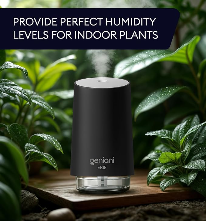 GENIANI Portable Small Cool Mist Humidifier – USB Powered (Not Rechargeable), Compact Desktop Humidifier for Plants, Office, Baby Room – Auto Shut Off & Night Light – Black, 0.25L