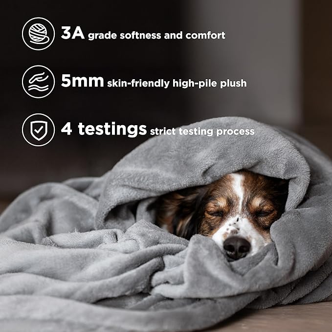 Bedsure GentleSoft Fleece Blanket Twin Size Grey - 300GSM Lightweight Plush Fuzzy Cozy Soft Warm Blanket for Bed, Sofa, Couch, Travel, Camping, 60x80 inches