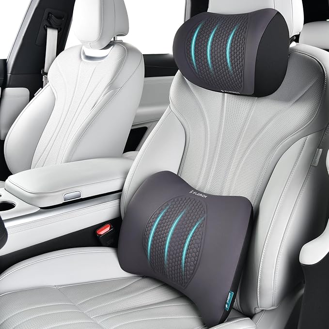 FLORICH Lumbar Support with Car headrest Back Pillow for Chair Headrest Pillow with Gel Memory Foam Massage Point Lumbar Support(Grey)
