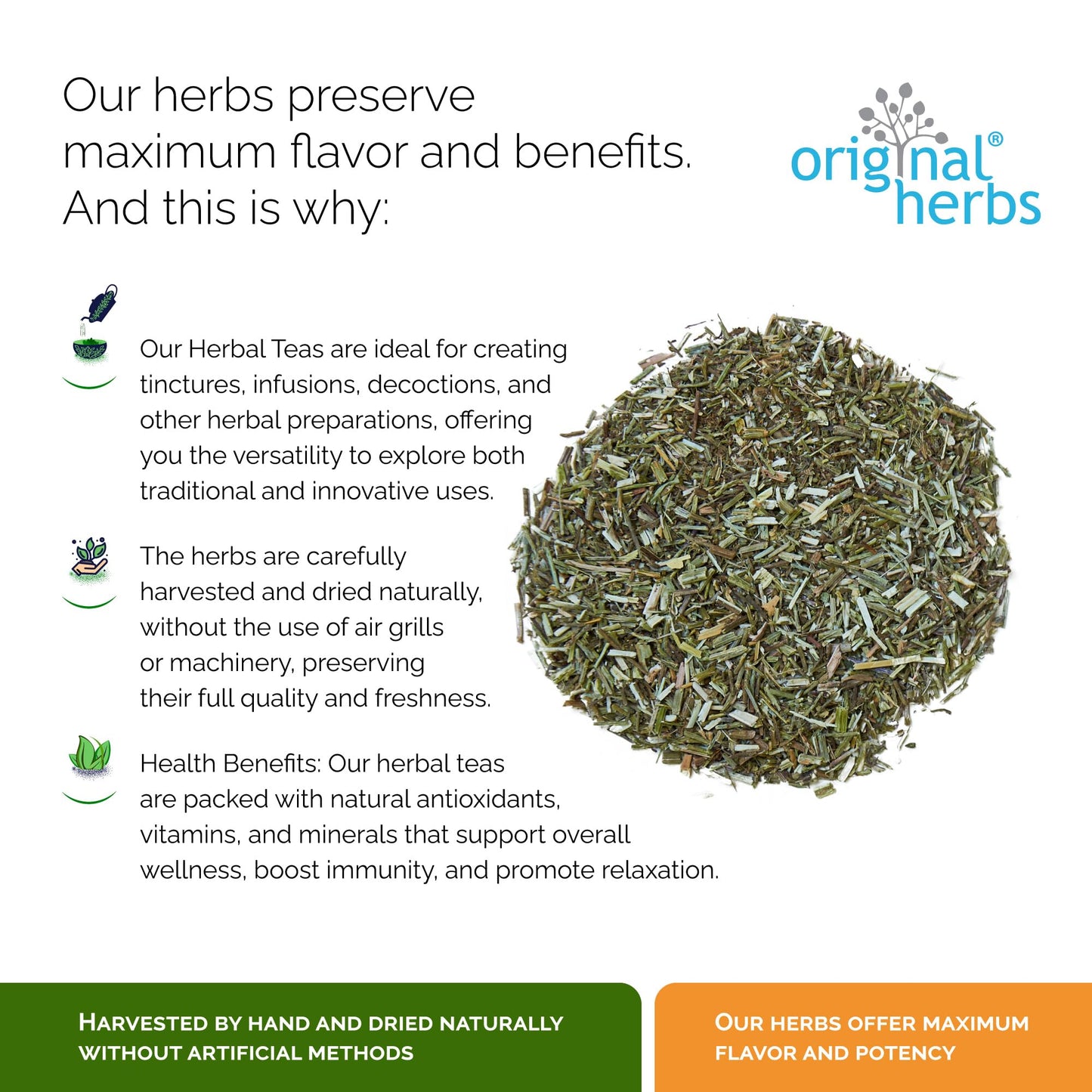 LEMON VERBENA, VERVAIN (VERBENA OFFICINALIS L.) | Original Herbs Herbal Tea – Wild Crafted Herbs Tea – 50g. Calming Digestive Tea