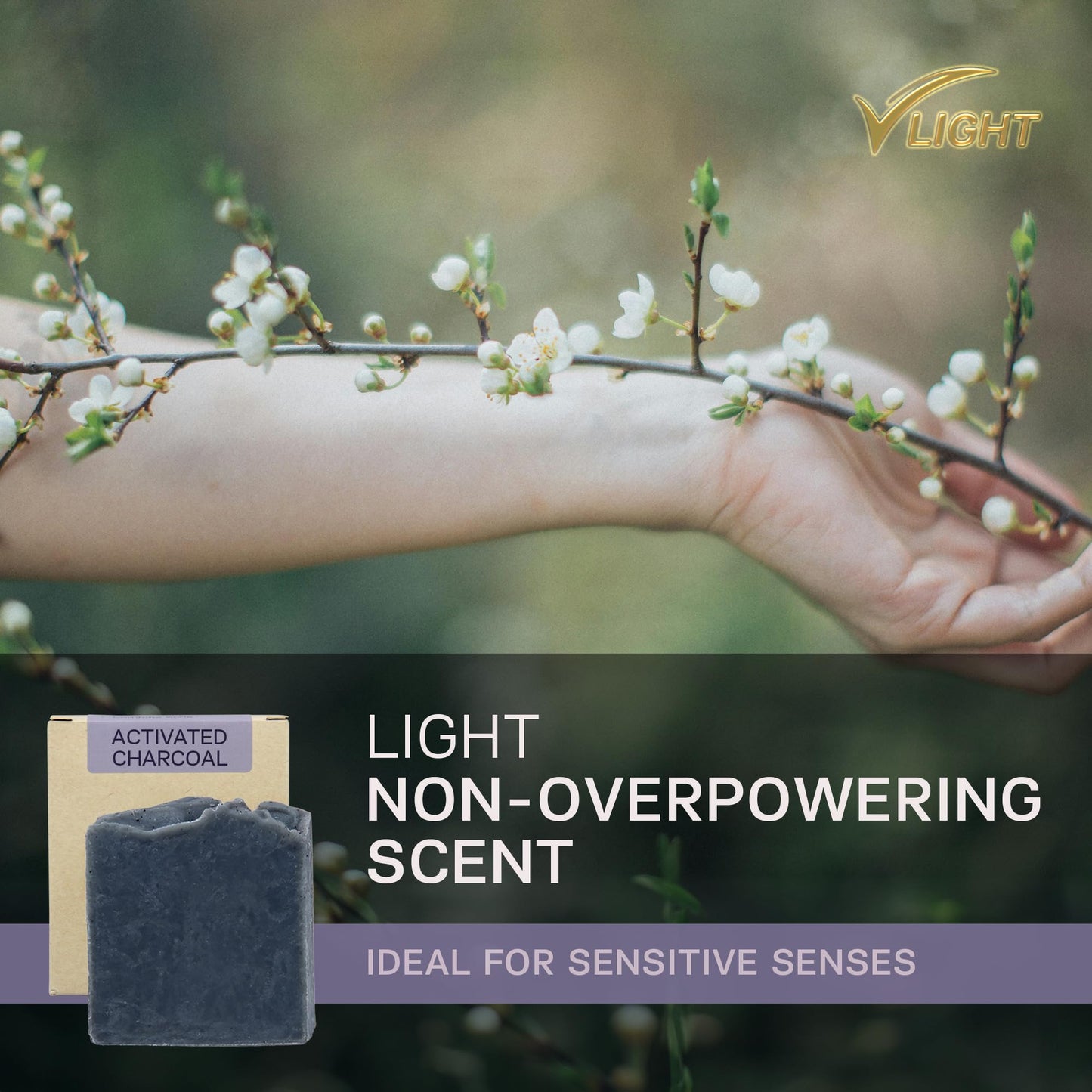 AUTHENTIC BATH & SOAP - Activated Charcoal Soap Bar - Cold Processed, Cleansing & Detoxifying Wash for Men & Women, Handmade, Cruelty Free, Vegan, no Parabens or Sulfates. (Pack of 2) 4.2 Oz Each