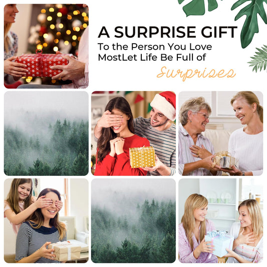 Mini Humidifier for Desk Bedroom Indoor Plant, 300ml Aromatherapy Diffuser Humidifier for Office Small Room, Quiet Colorful Night Light, Essential Oil Diffuser