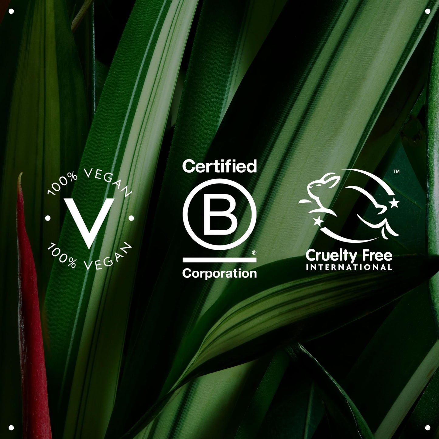 Aveda Rosemary Mint Bath Bar Soap | with Invigorating Aroma of Certified Organic Peppermint & Rosemary