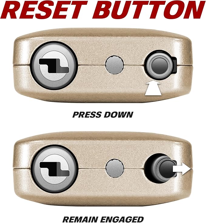 BV TSA Accepted Luggage Travel Lock, Set-Your-Own Combination Lock for School Gym Locker, Luggage Suitcase Baggage Locks, Filing Cabinets, Toolbox, Case (Champagne Gold, 2 Pack)