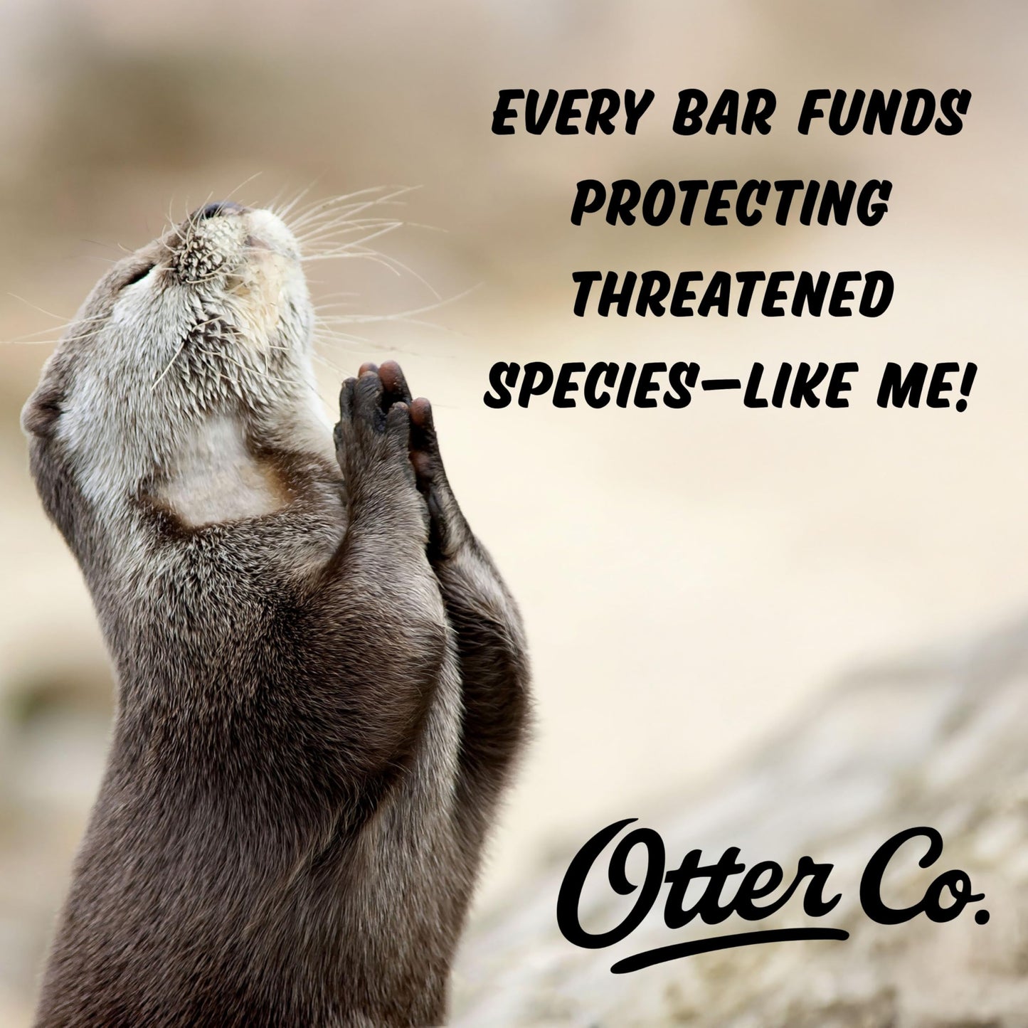 Otter co. Kids Gentle Strawberry Shampoo Bar – Tear Free Toddler Shampoo – Sulfate Free & Non Toxic – Made with Organic Ingredients – Vegan, Cruelty Free, Natural & Hydrating for All Hair, USA Made