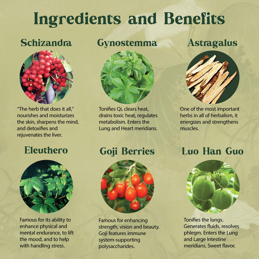 Dragon Herbs Spring Dragon Longevity Tea - Adaptogenic Gynostemma Leaf Herbal Tea Infused with Schizandra Berry, Goji Berry, Astragalus Root, Eleuthero Root, Luo Han Guo Fruit – Immune Support, Calming, Invigorating, Energy, Soothing, Digestion Support, C