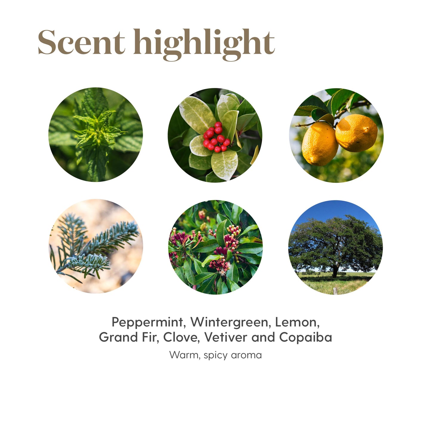 Young Living Deep Relief Roll-On | 10 ml | Cooling Essential Oil Blend for Topical Use | Compact & Travel-Friendly