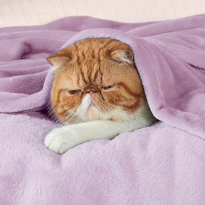 Bedsure GentleSoft Twin XL Fleece Blanket Dorm Bedding - Lightweight Soft Cozy Blankets for Bed, Sofa, Couch, Travel, Camping, Lilac, 66"x90"