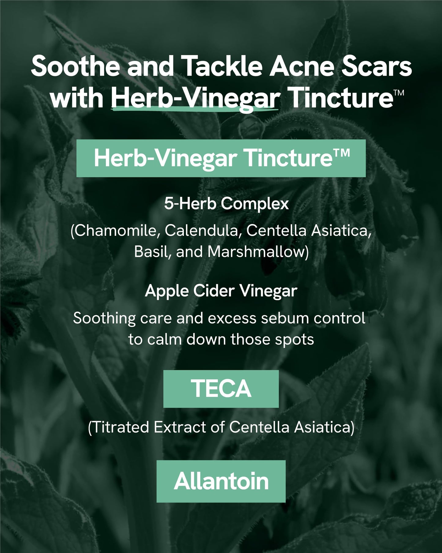 Bye od-td Blemish Treatment (0.7fl oz) - Post-Blemish Marks, Correction Korean Skin Care. TECA, Allantoin, Herb-Vinegar Tincture.