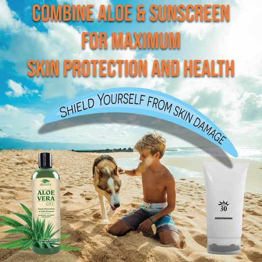 Amazing Aloe Vera Gel - Freshly Cut, 100% Pure Aloe, Premium Quality, Vegan, Unscented - Natural Sunburn Relief, After Shave, Skin, Face & Hair Care 8oz