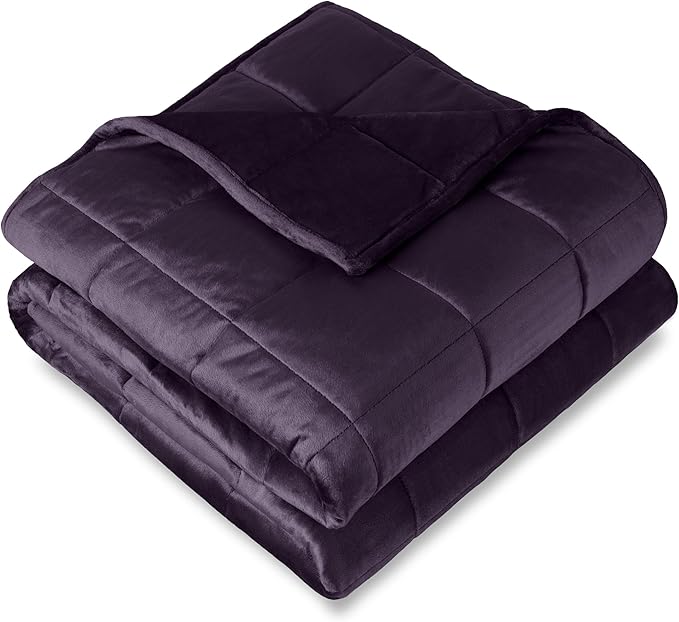 Bare Home Weighted Blanket Queen Size 17lb (60" x 80") for Adults - Minky Fleece - Premium Heavy Blanket Nontoxic Glass Beads (Eggplant, 60"x80")