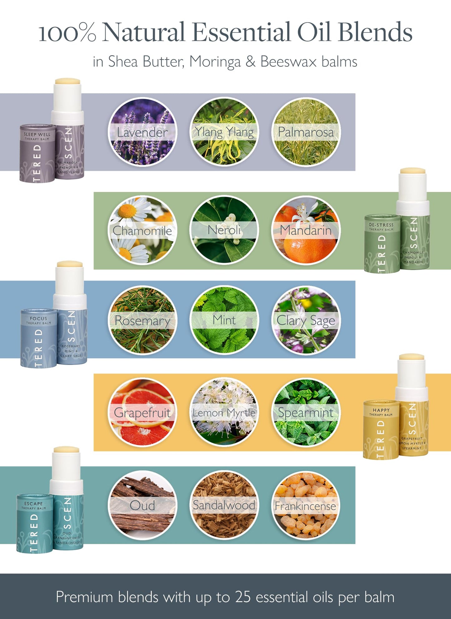 Scentered Aromatherapy Balm Stick Gift Set with Travel Pouch - Sleep, Focus, Stress-Relief, Mood Boost & Calm - 100% Natural Essential Oil Blends: Lavender, Chamomile, Rosemary, Cedarwood, Ylang Ylang