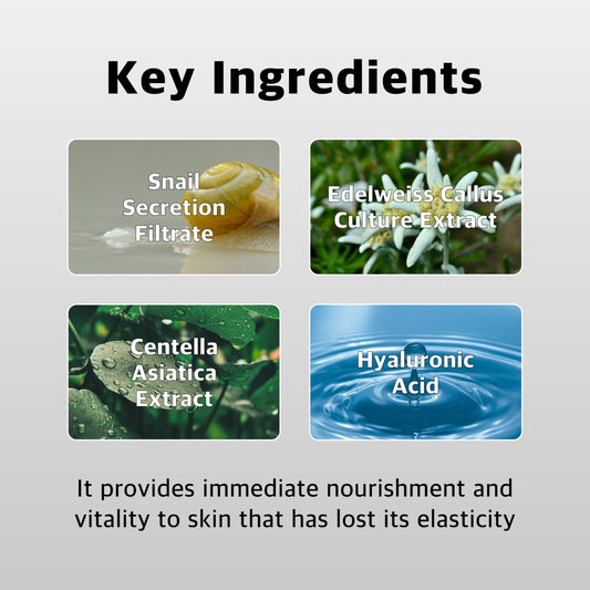 RADIPAIR FM04 Firming Ampoule – Korean Anti-Aging Serum for Hydration & Nourishment | 1.01 fl oz with Patented TFM