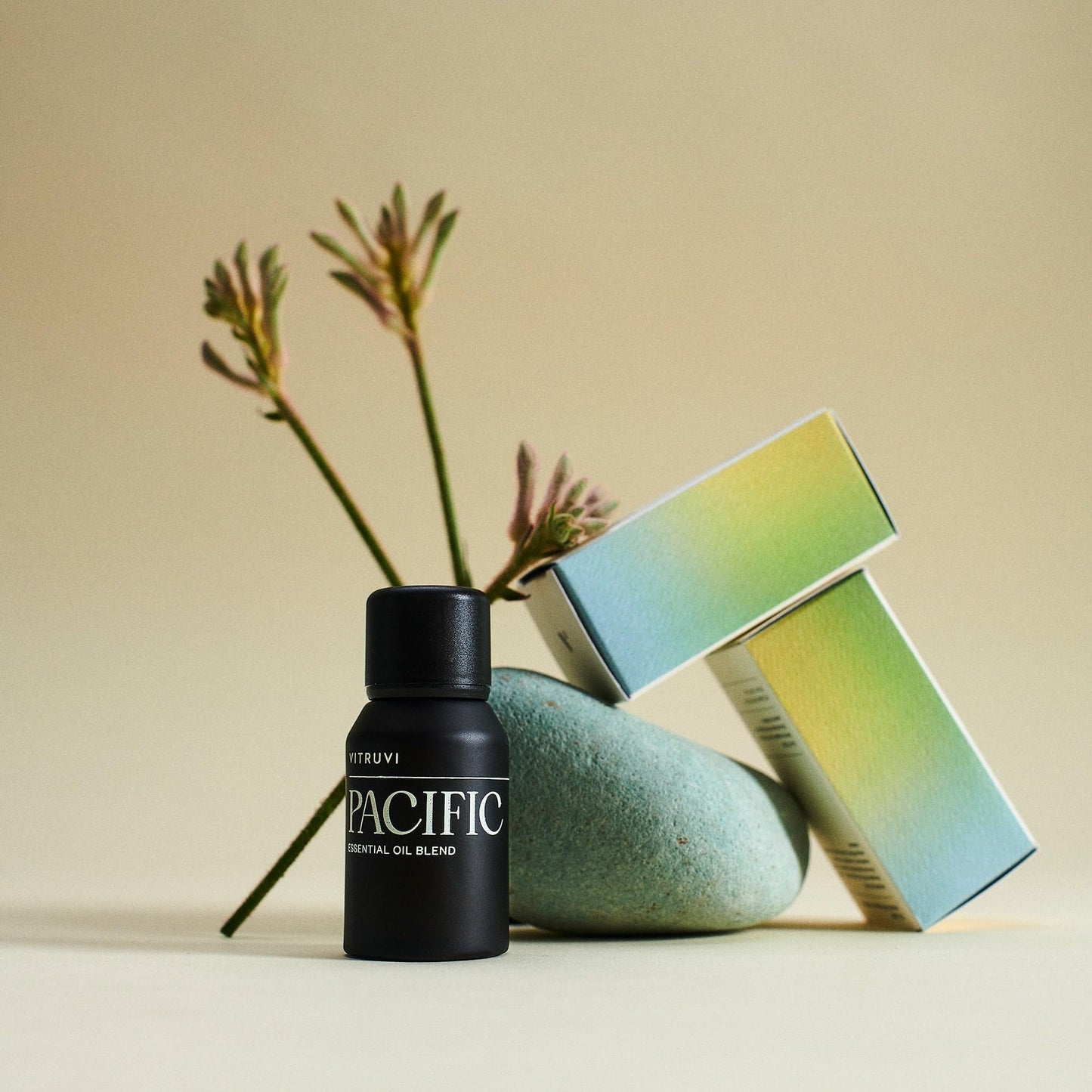 Vitruvi Pacific, Balance Essential Oil Blend, 100% Pure Amyris, Bergamot, Eucalyptus, Lavender and Basil Oil (0.5 fl.oz)