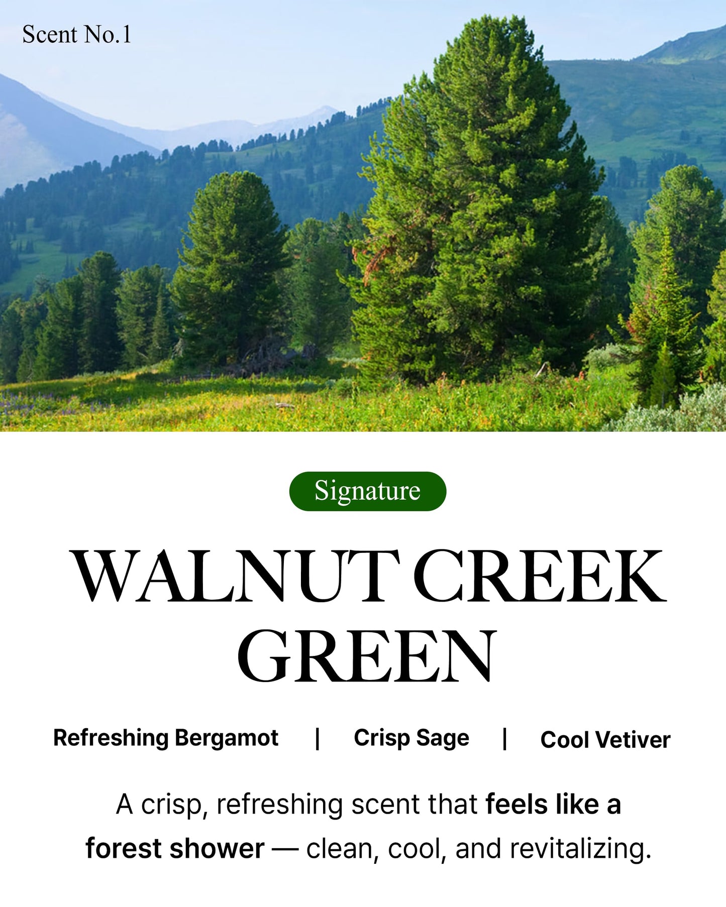 BiBiANG Walnut Creek Green Hand Cream - Korean Hand Care for Moisturizing & Nourishment - Hydrating Hand Care Formula with Forest Bergamot Scent, Shea Butter & Niacinamide - 1.69oz