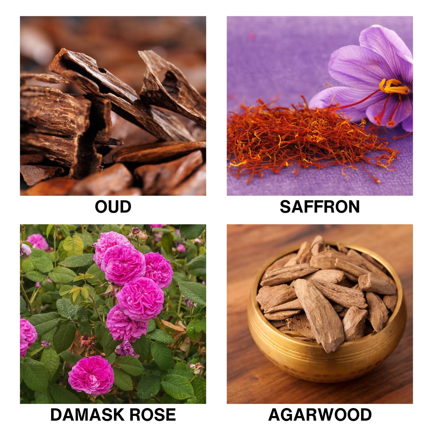 De Lumique Mystic Rosewood Reed Diffuser for Bathroom – Bathroom Diffuser with Sticks – Long-Lasting Scent with Oud, Damask Rose & Saffron Home Fragrance Decor – 150ml