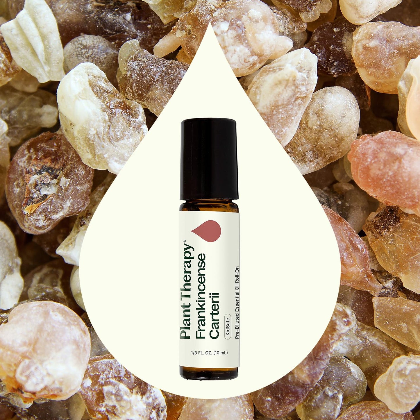 Plant Therapy Frankincense Carterii Essential Oil 100% Pure, Pre-Diluted Roll-On, Natural Aromatherapy, Therapeutic Grade 10 mL (1/3 oz)