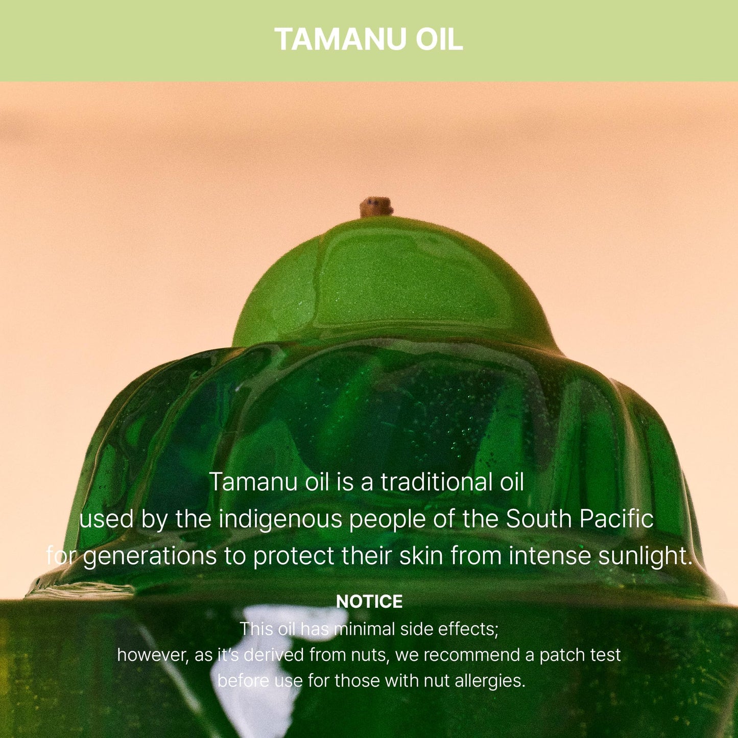 LADOR Tamanu Daily Sheer Glow Tinted Tone-up Face Sunscreen Moisturizer UV Protector Hydrating Non-greasy Makeup Primer SPF 50+ PA++++ Sun Protection Korean Skincare