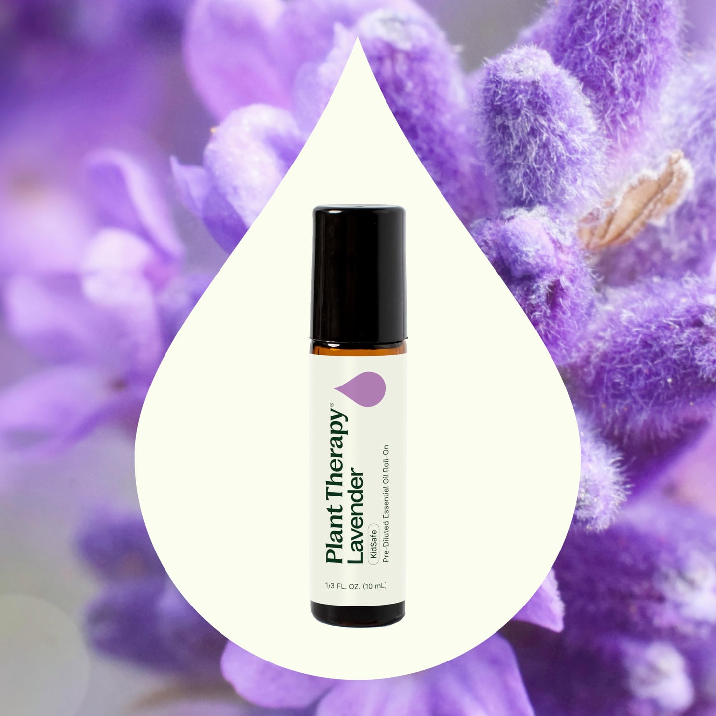 Plant Therapy Lavender Essential Oil 100% Pure, Pre-Diluted Roll-On, Natural Aromatherapy, Therapeutic Grade 10 mL (1/3 oz)