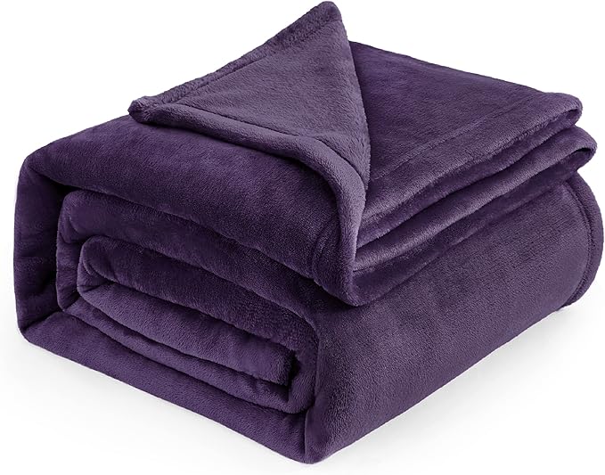 Bedsure GentleSoft Fleece Blankets Queen Size Purple - Bed Blanket Soft Lightweight Plush Fuzzy Cozy Luxury Microfiber, 90x90 inches