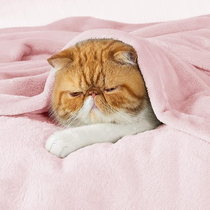 Bedsure GentleSoft Pink Fleece Blanket - 300GSM Soft Lightweight Plush Cozy Blankets for Bed, Sofa, Couch, Travel, Camping, 50x70 inches