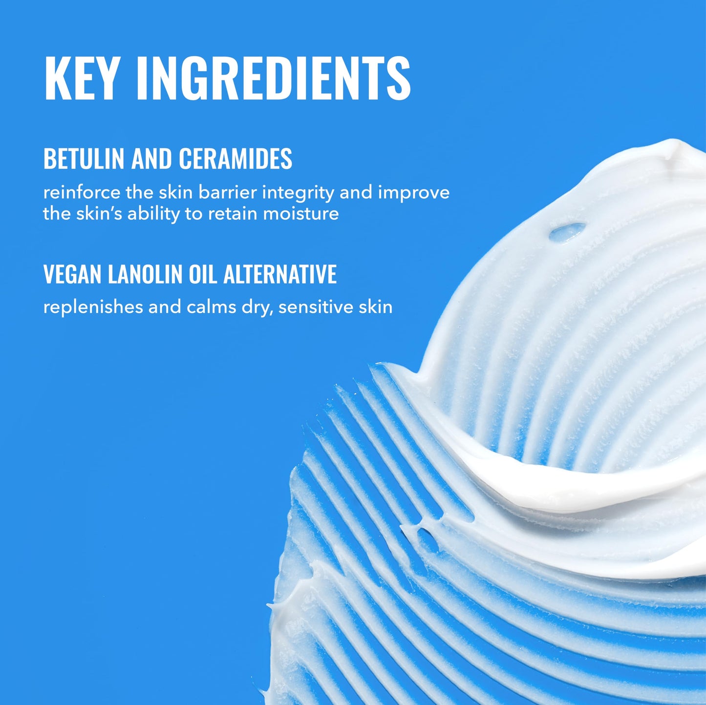 Good Molecules Rich Cream with Ceramides 50 ml / 1.6 oz – Daily Facial Moisturizer for Dry Skin, Redness – Face Lotion with Betulin Soothe, Plump, Hydrate, Moisturize – Anti-aging Skin Care