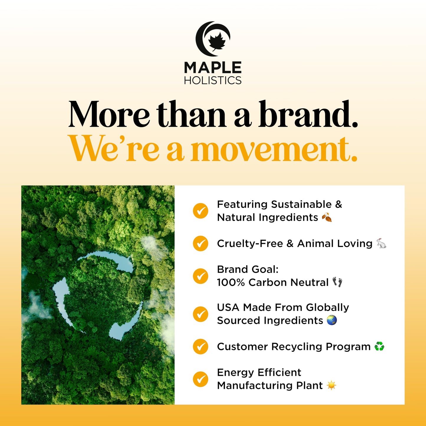 Focus Essential Oil Roll On - Aromatherapy Essential Oil Roller with Invigorating Pure Citrus and Mint Oils - Attention and Focus Essential Oil Blend with Eucalyptus Peppermint & Grapefruit (1 Pack)