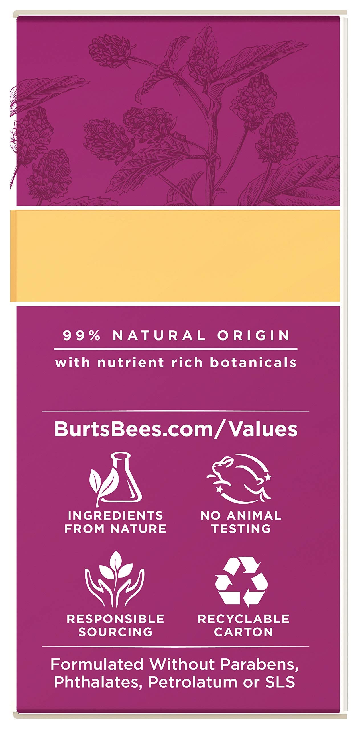 Burt's Bees Renewal Smoothing Eye Cream, Firming Eye Cream, 0.58 Ounce