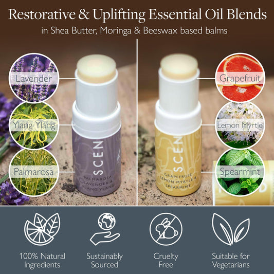 Scentered Aromatherapy Balm Stick Duo for Sleep Support & Mood Boost - Roll On Essential Oil Blends of Lemon Myrtle, Lavender, Ylang Ylang - Aromatherapy Gifts for Women - Sleep Well & Happy