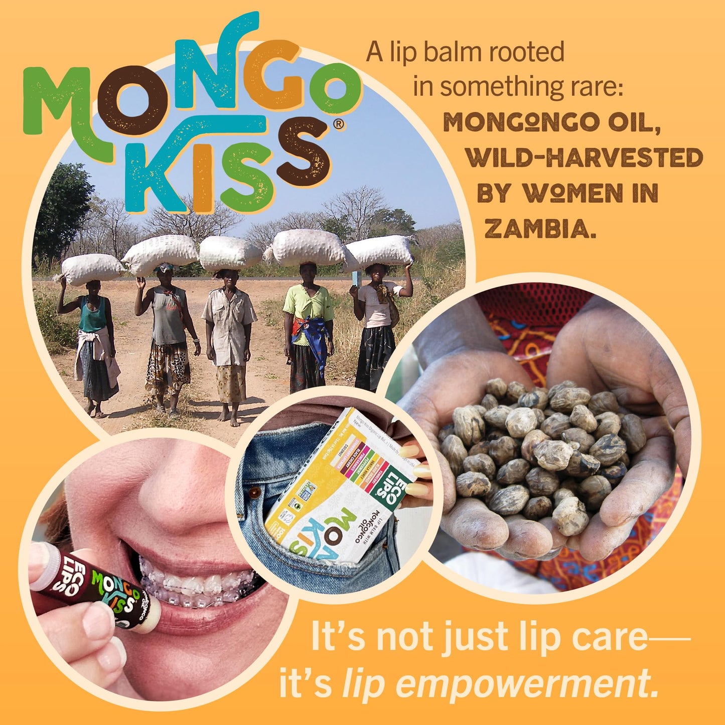 Mongo Kiss USDA Organic Lip Balm Set 8-pack (0.15 oz. each) with Mongongo Oil & Cocoa Butter to Moisturize Chapped Lips | Made in USA by Eco Lips (Variety)