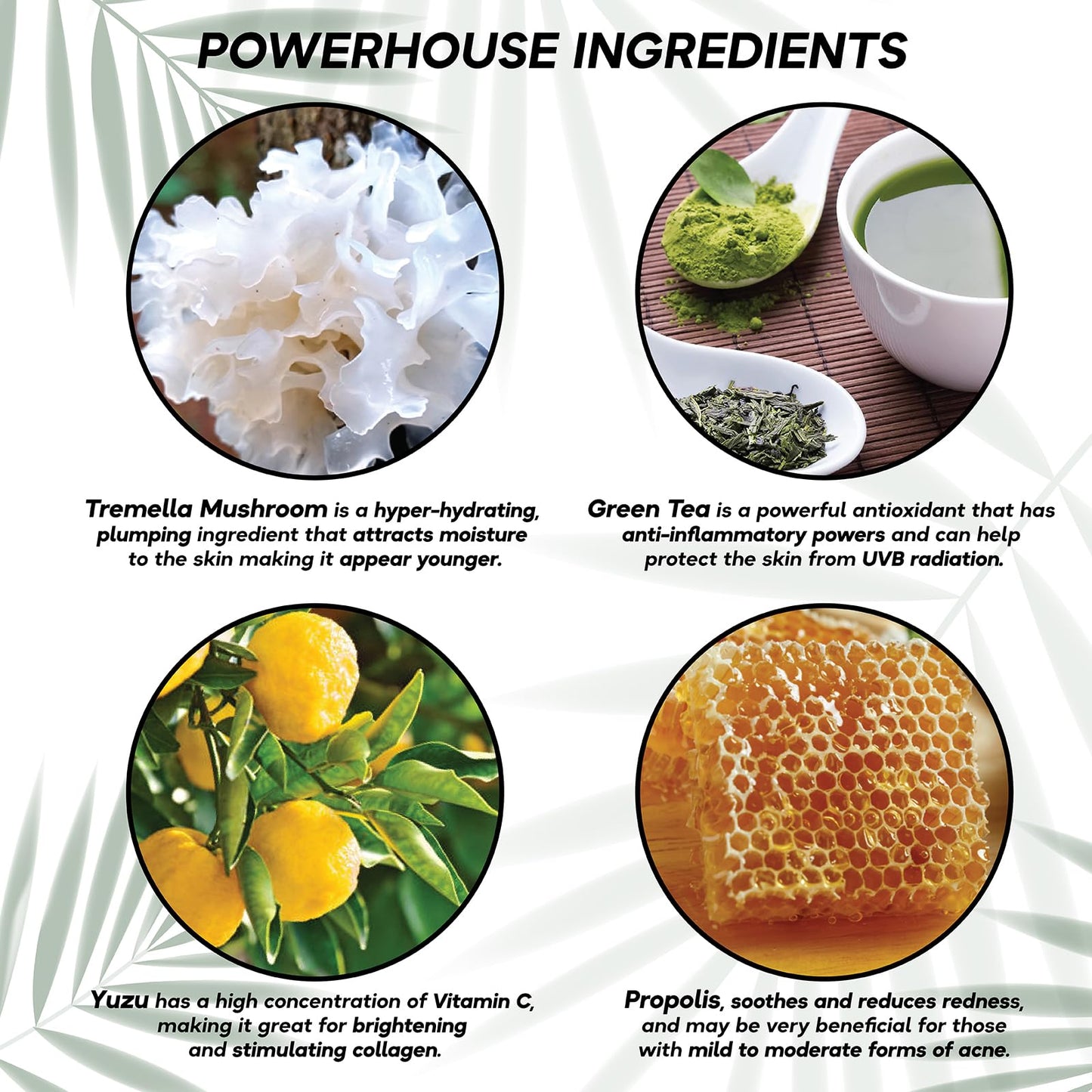 ZL SKIN Guard & Glow Hydrating Face Skin Care Mist - Moisturizes & Calms Redness, Balancing & Toning Facial Mist Spray - Active Skin Repair - Korean Inspired Skin Care for All Skin Types