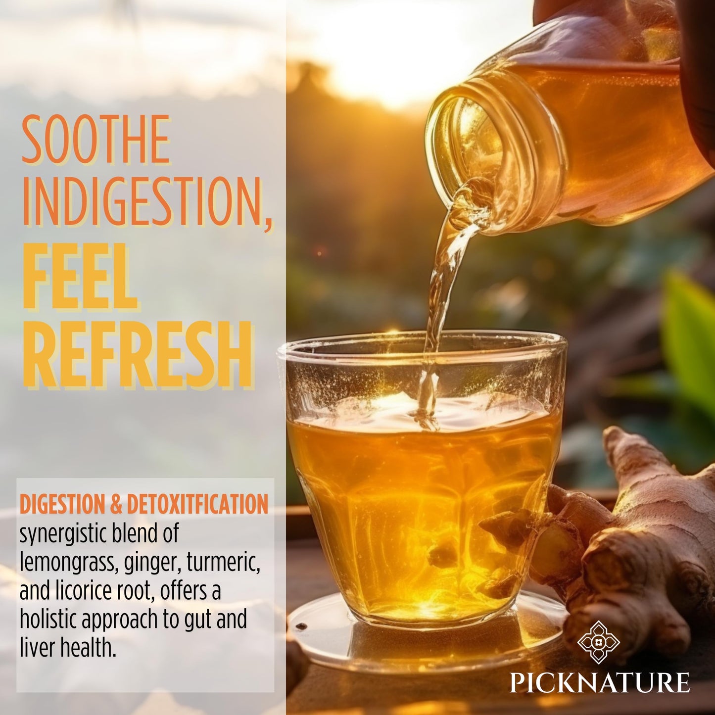 PICKNATURE USDA Organic Happy Tummy Tea - Digestive tea with Lemongrass, Turmeric, Ginger tea Freshly Picked from Thailand| 30 tea bags (100+ Cups) | Herbal Tea Gifts