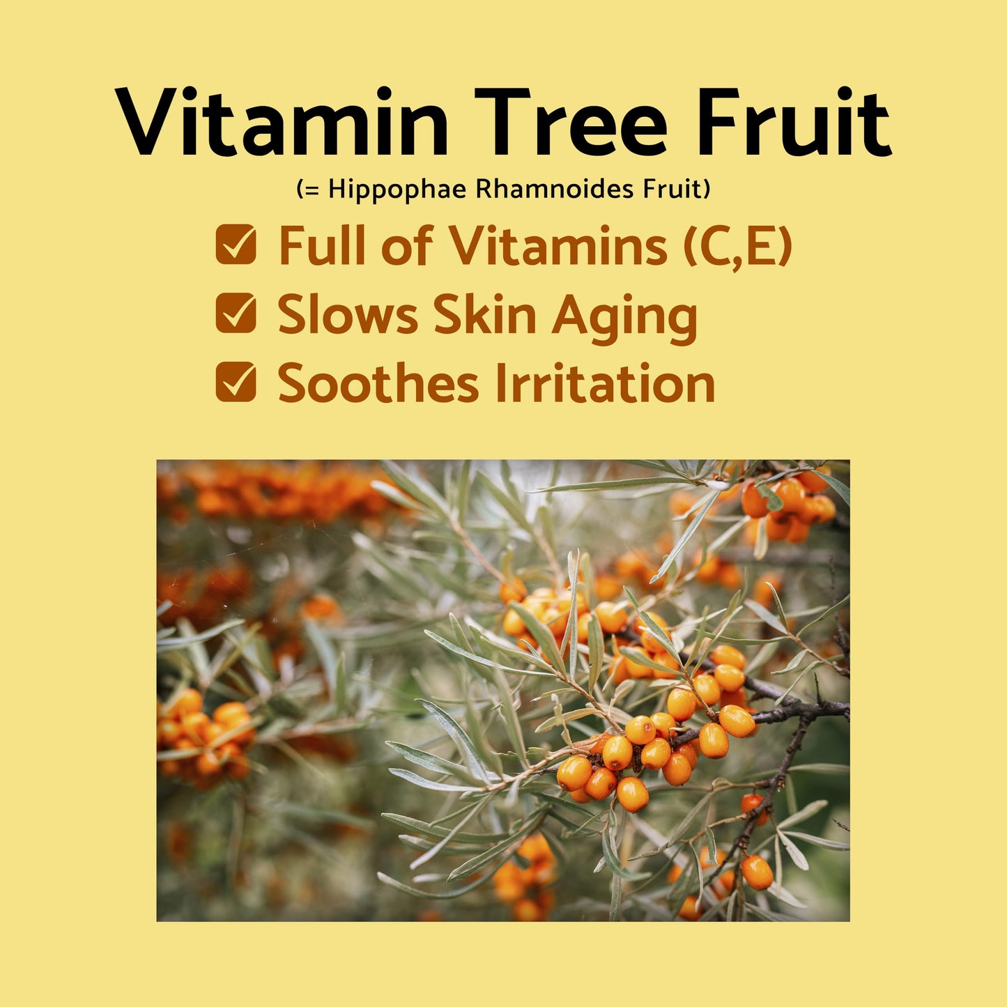 iUNIK Propolis Vitamin Eye Cream Set (Eye Cream 1.01 fl.oz. & Mini Serum 0.51 fl.oz.) - Featuring Propolis Extract, Idebenone, Buckthorn