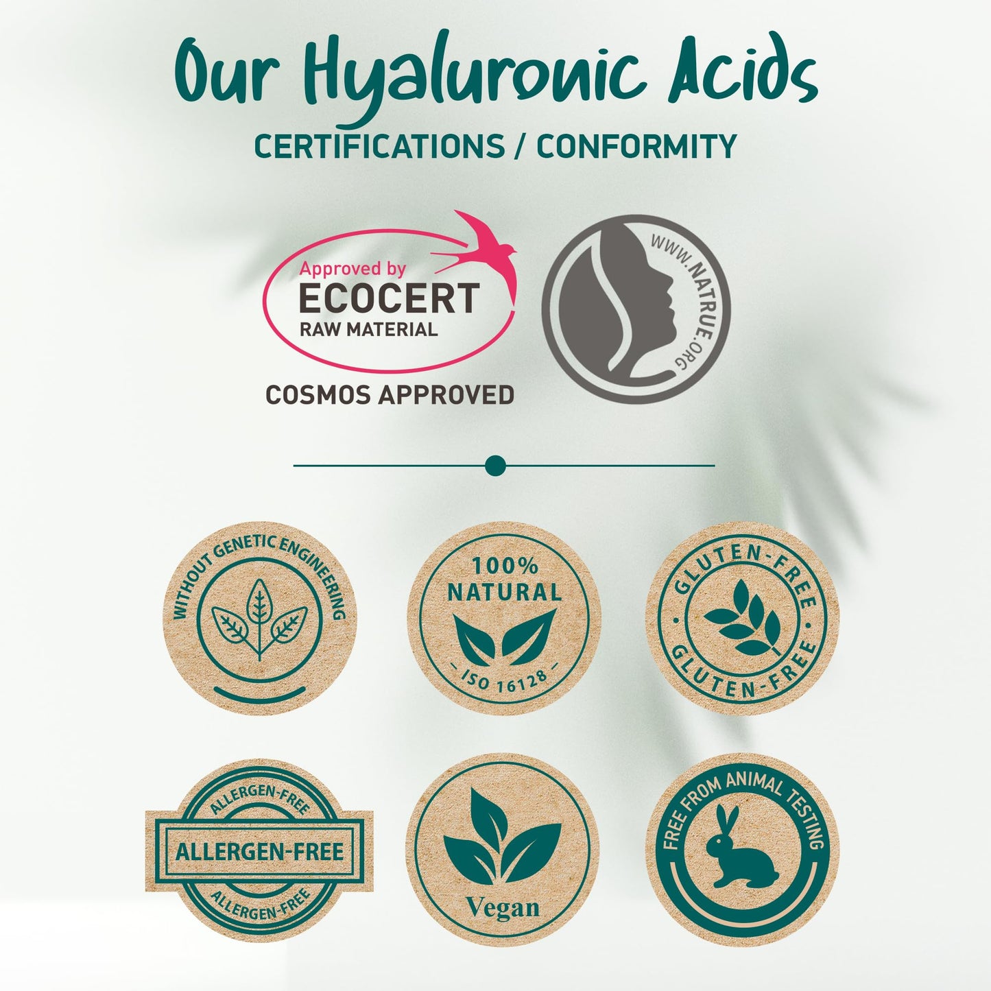 Soena Hyaluronic Acid Cream + Q10 - Quadruple Anti-Wrinkle Complex - Anti-Aging - Day & Night Cream - Highly Dosed Moisturizing Cream - For Face & Decollete