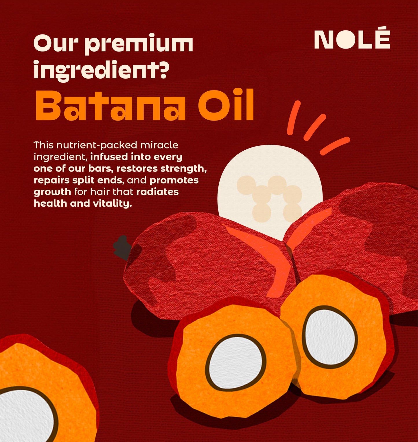 NOLE CARE Sustainable Conditioner Bar with Coconut & Batana Oil for Frizz (2.12 Oz Bar) - Sustainable, PH Balanced, Rice Protein Conditioner for Silky Frizzy Hair, Plastic-Free