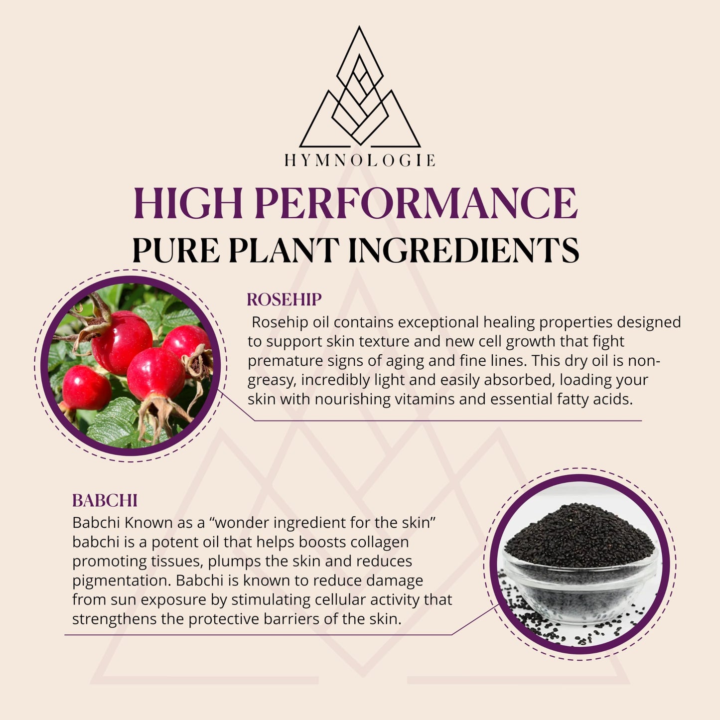 Hymnologie Daily Brilliance Tonic Facial Serum for Women's Face | Skin Care for Hydration, Repair, Beauty, Moisturize, and Glow Recipe with Jojoba, Grapeseed, Saffron and more | Earthy Scent - 1oz