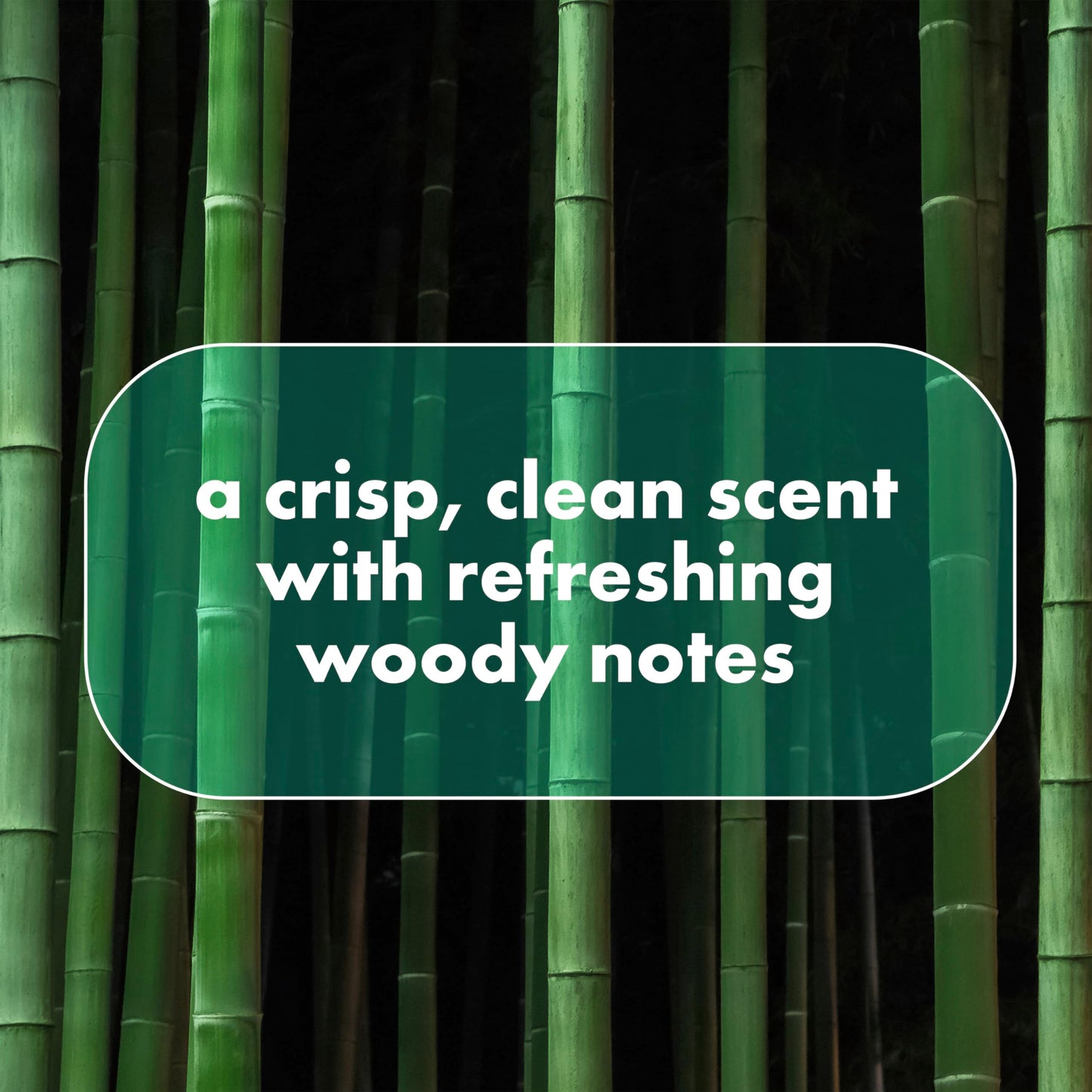 DOVE MEN + CARE Whole Body Deo Aluminum-Free Deodorant Stick Aloe + Bamboo Helps Avoid Chafing Suitable from Pits, Privates, to Feet 2.6 oz